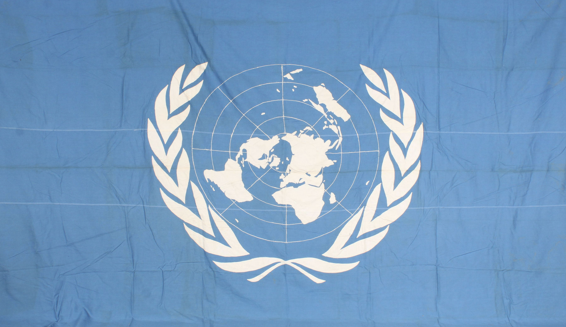 GLF and the United Nations July 1970