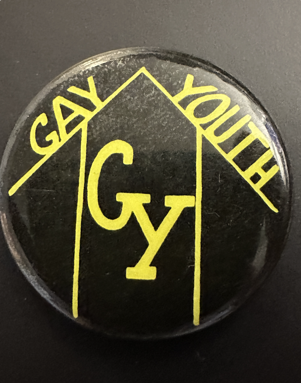 The Day Marsha &amp; Sylvia Came to a Gay Youth Meeting