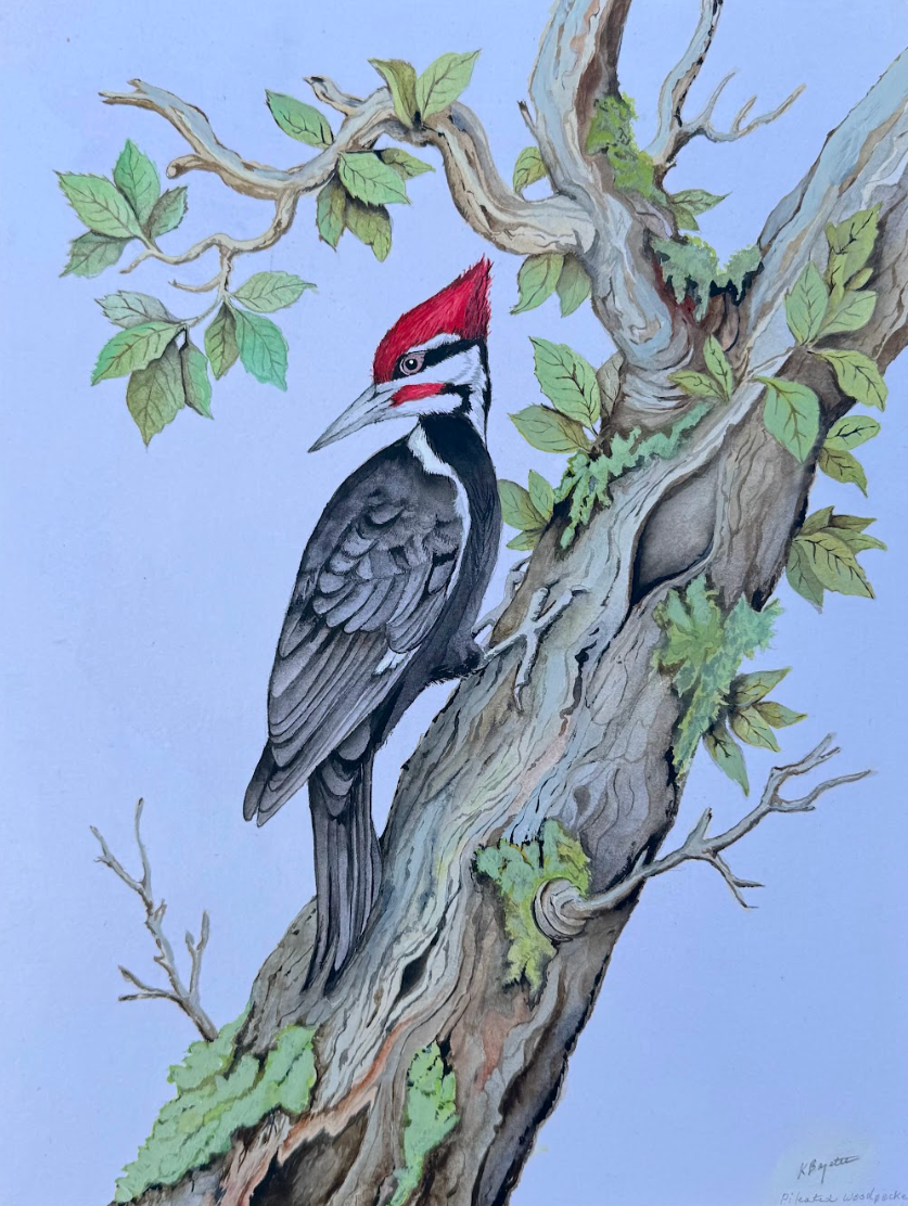By Katie Boyette