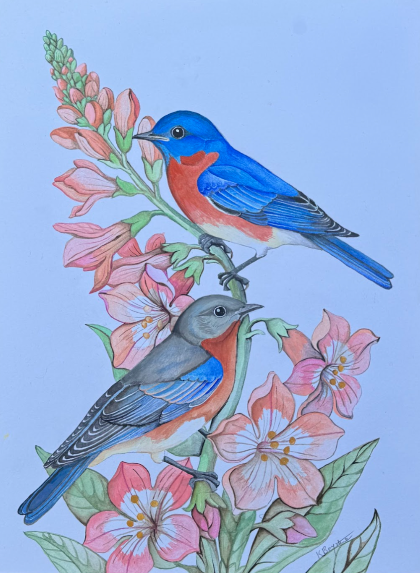 By Katie Boyette
