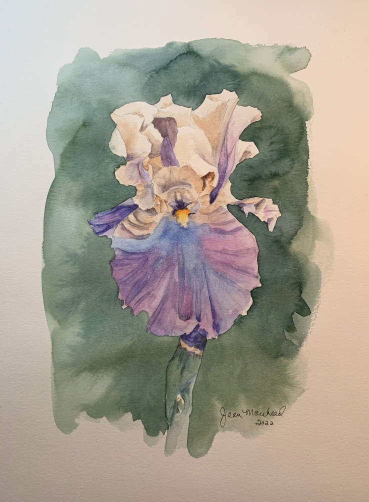 By Jean Morehead