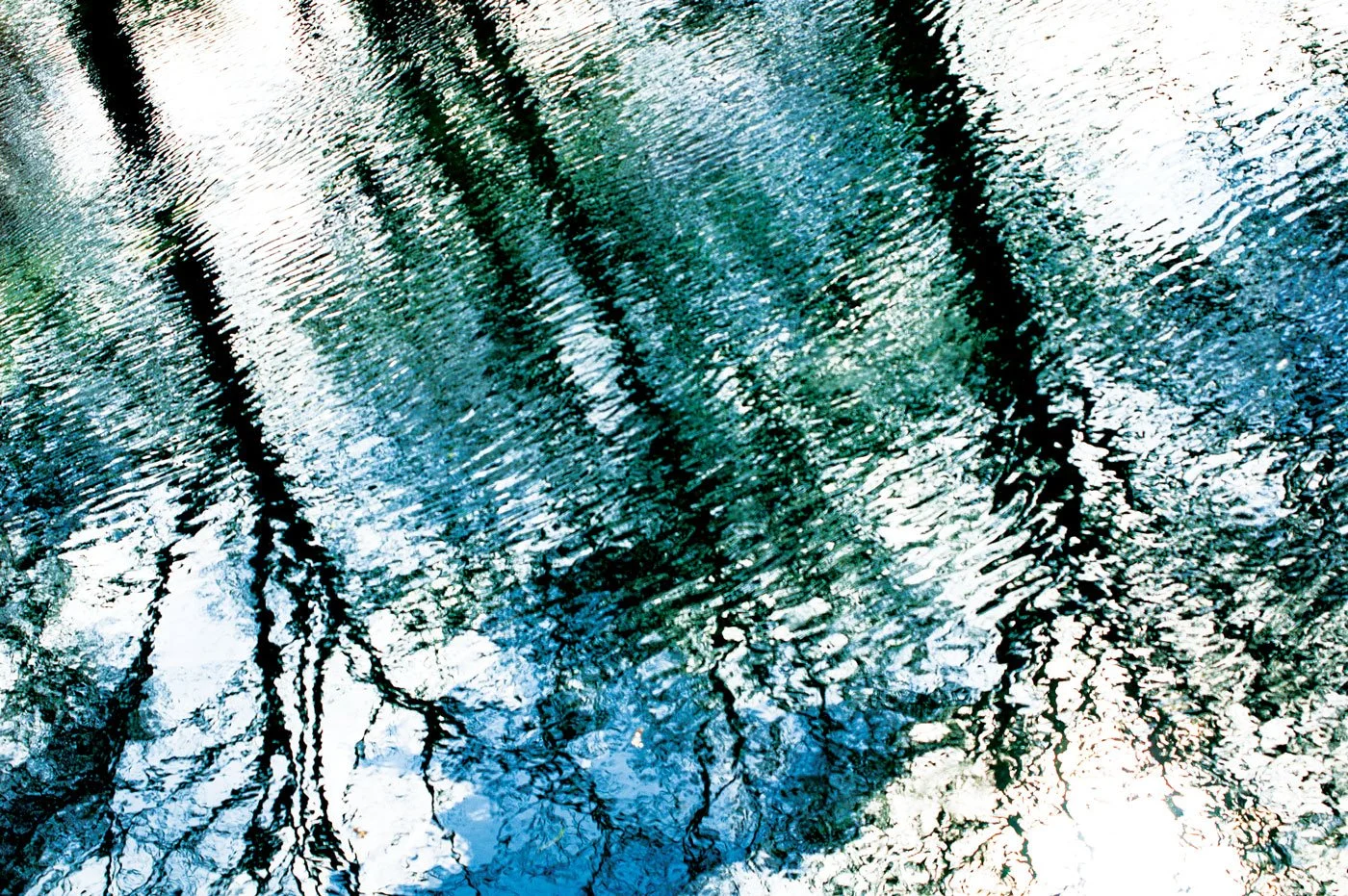 Reflection of trees in a body of water.