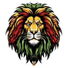 Recovery Reggae Night