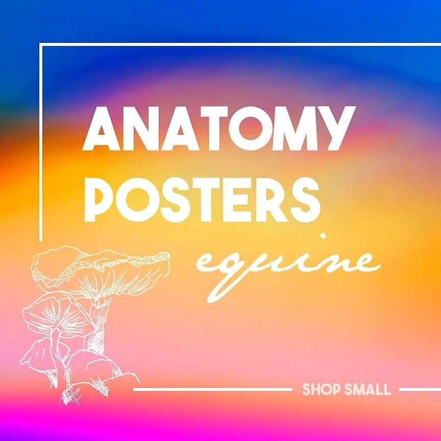 Commissions are open again!

All Anatomy Posters can all be customized for your exact requirements! From muscle layers to skeletons. Even drawn on your own images!!🦄🦄

DM for details or questions. Or find on etsy. #linkinbio 🌟The White Mare Studio