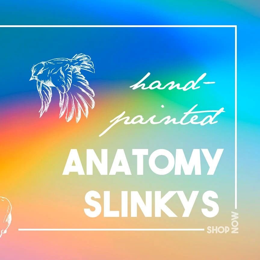 Commissions are open again!

Anatomy Slinkys are great for teaching, demos for equine bodyworks, &amp; they are also perfect for teaching younger learners over summer camps. All details can be customized!

DM for details or questions. Or find on etsy