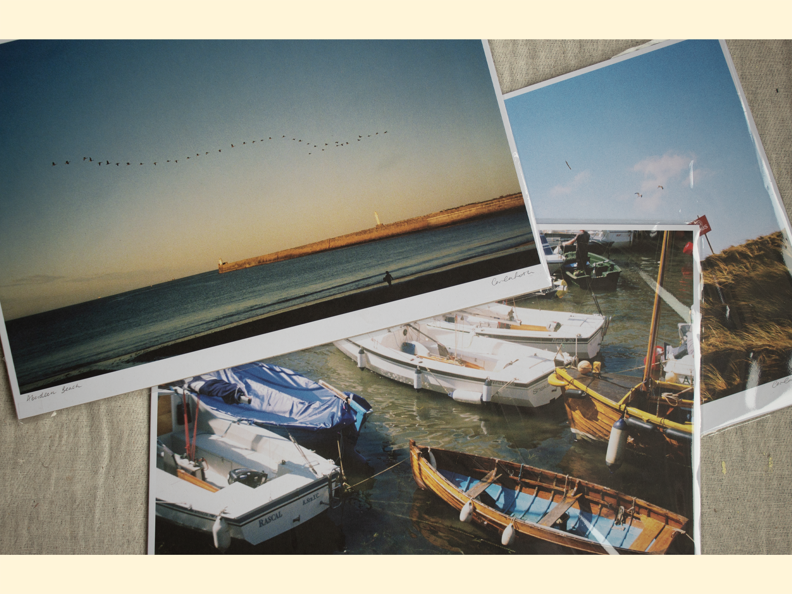 all photos image.png