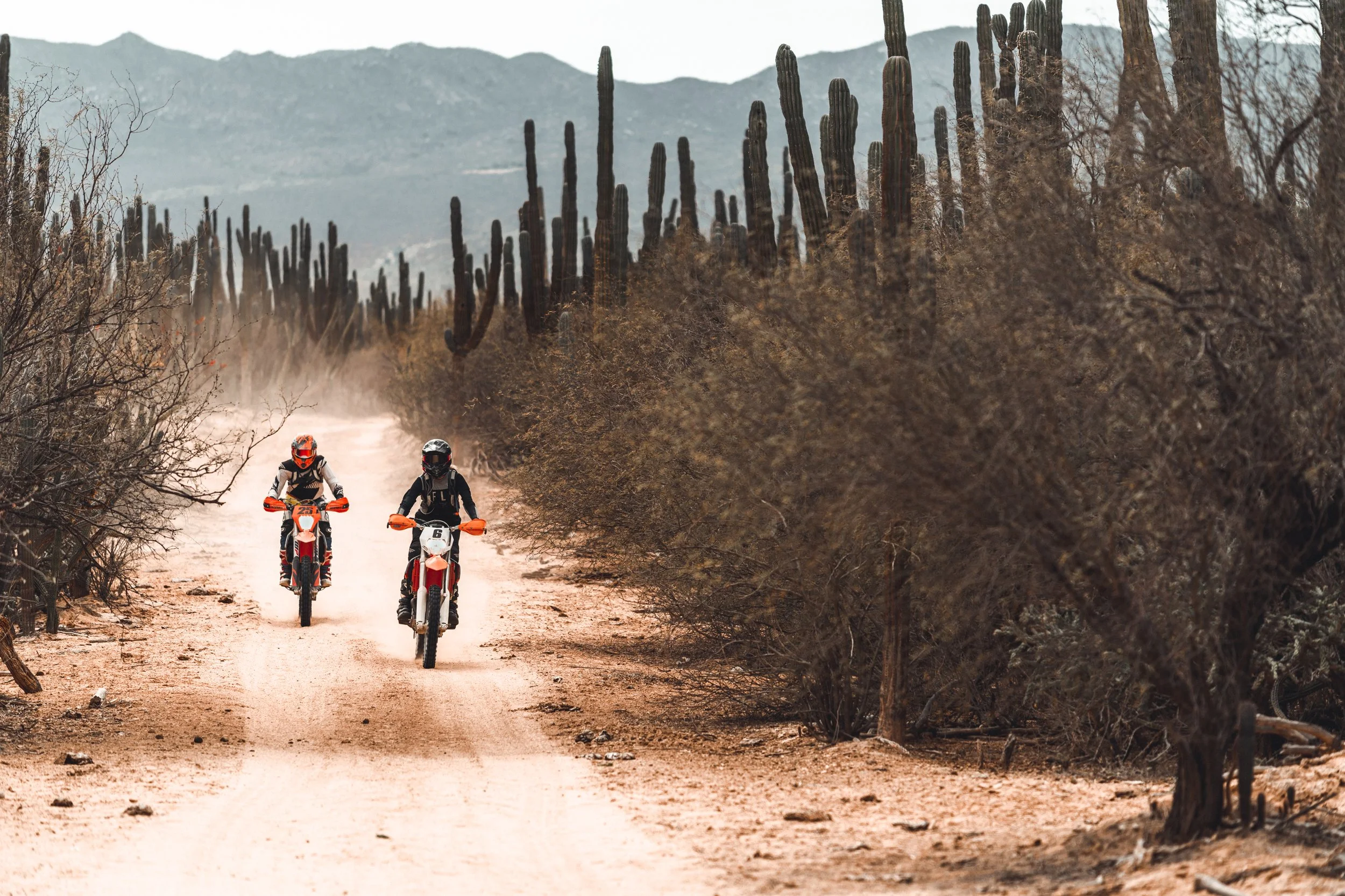 Baja-byChrisBrinleeJr-MAR21-26.jpg
