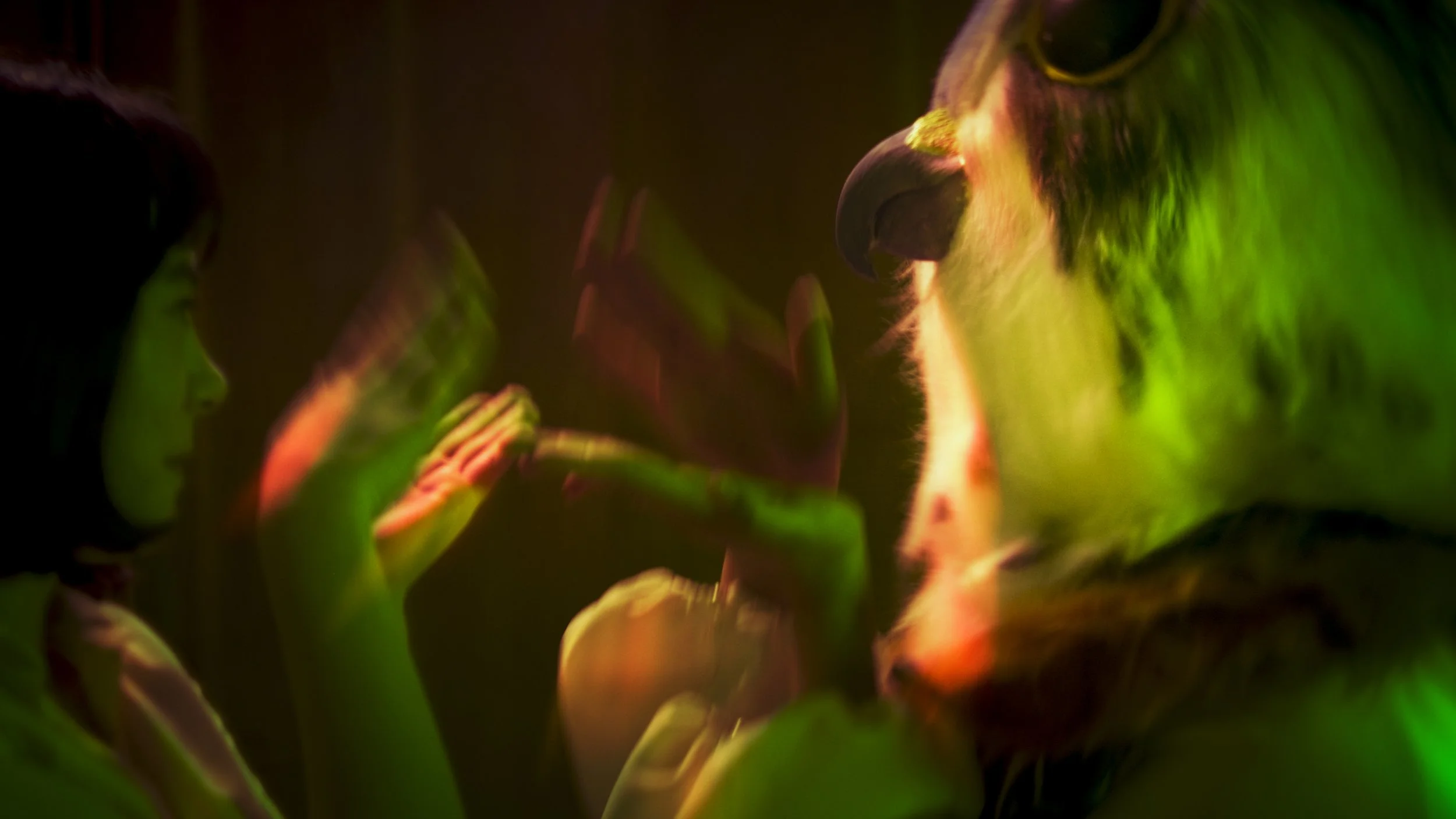 Falcon_Eyes_Still6.jpg