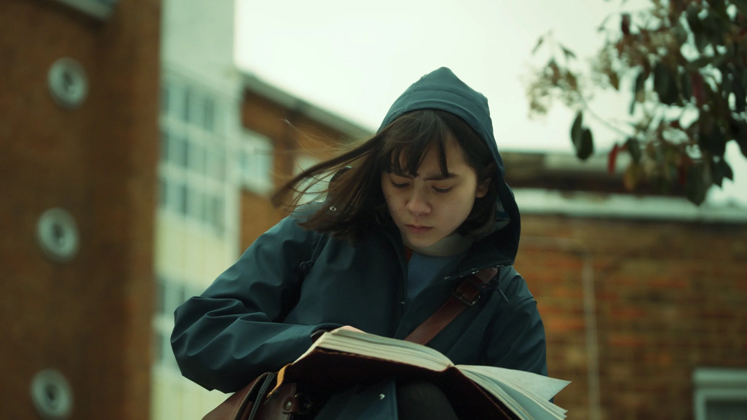 Falcon_Eyes_Still8.jpg
