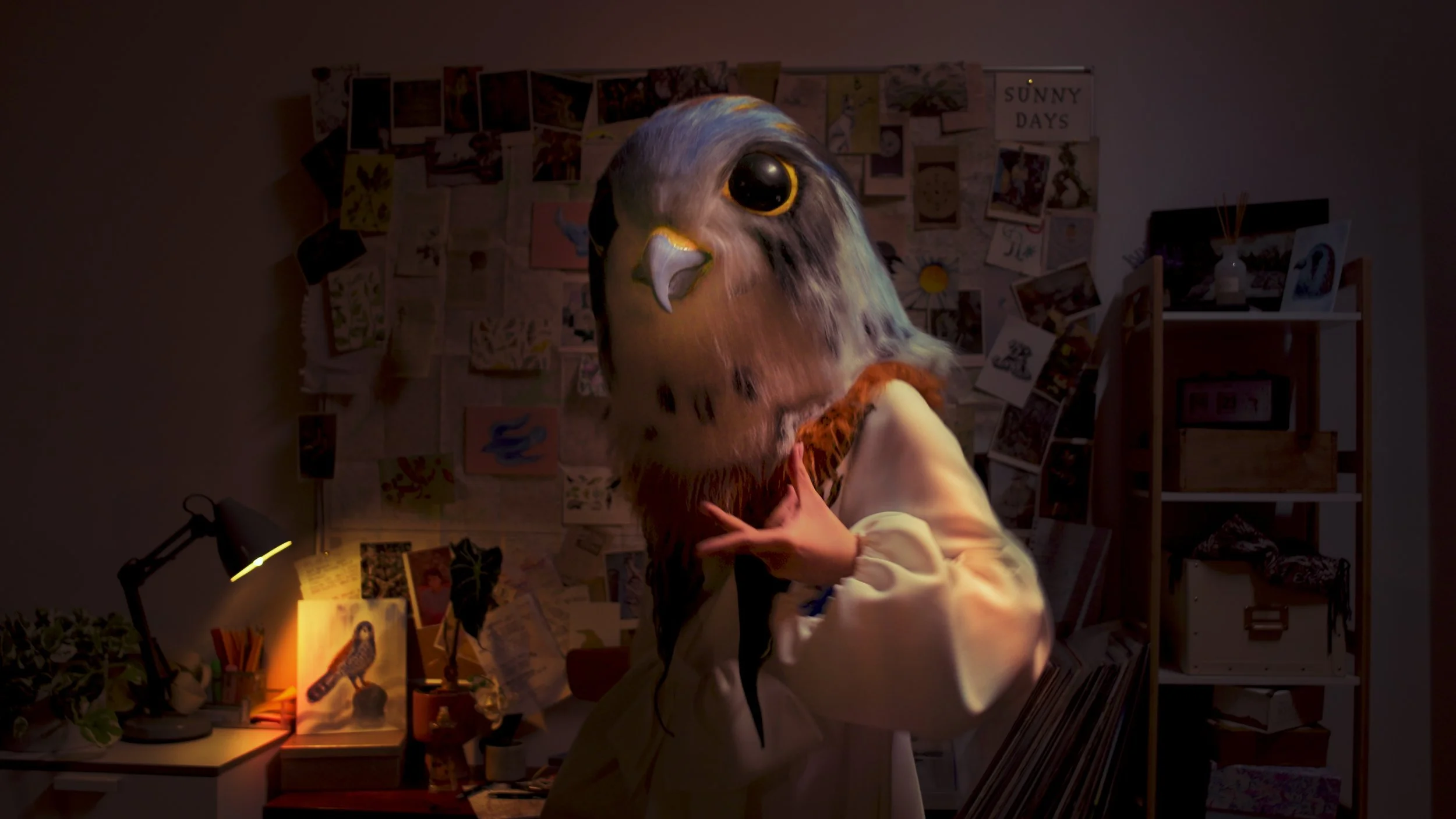 Falcon_Eyes_Still5.jpg