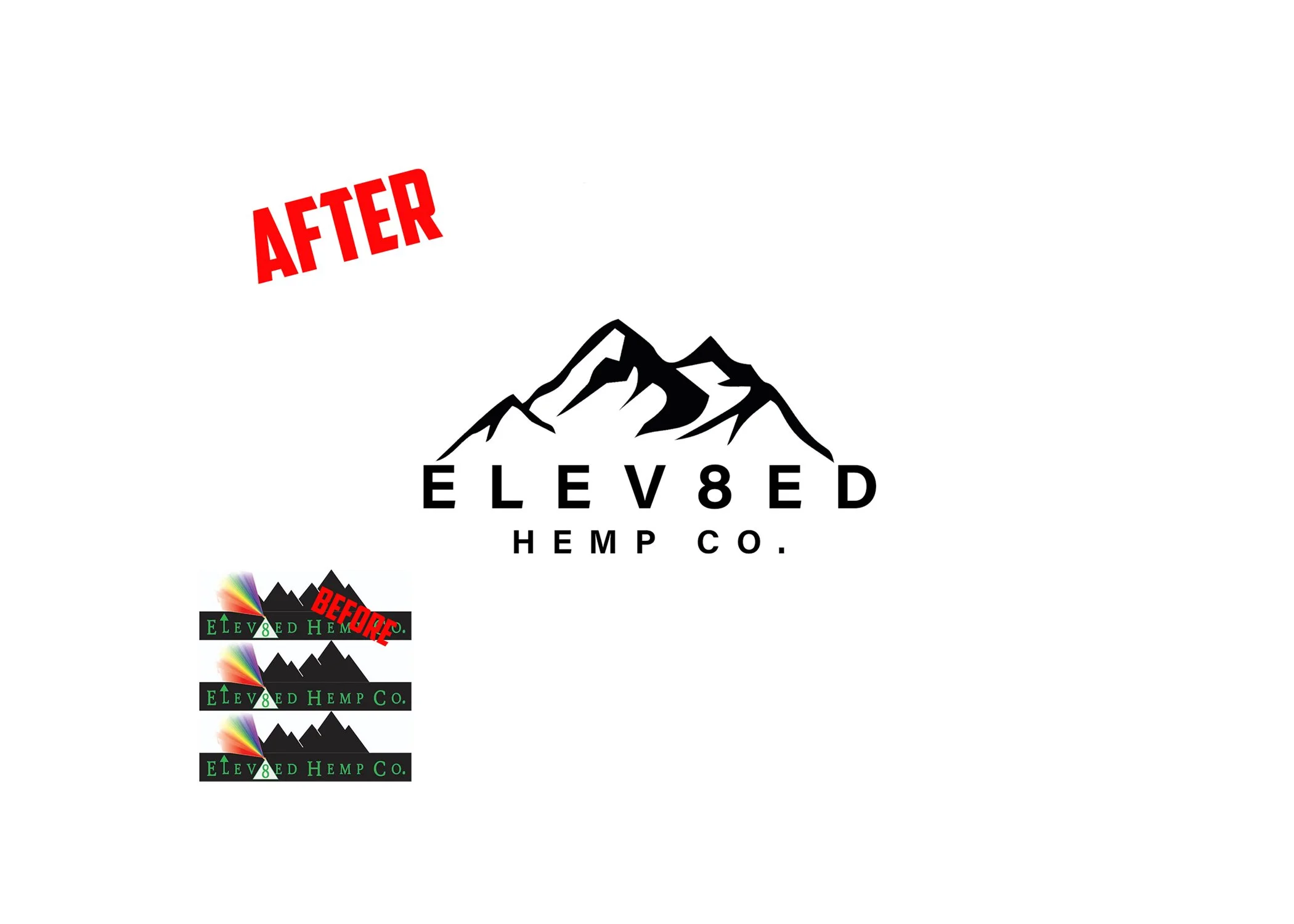 elev8edspelled copy 4.jpg