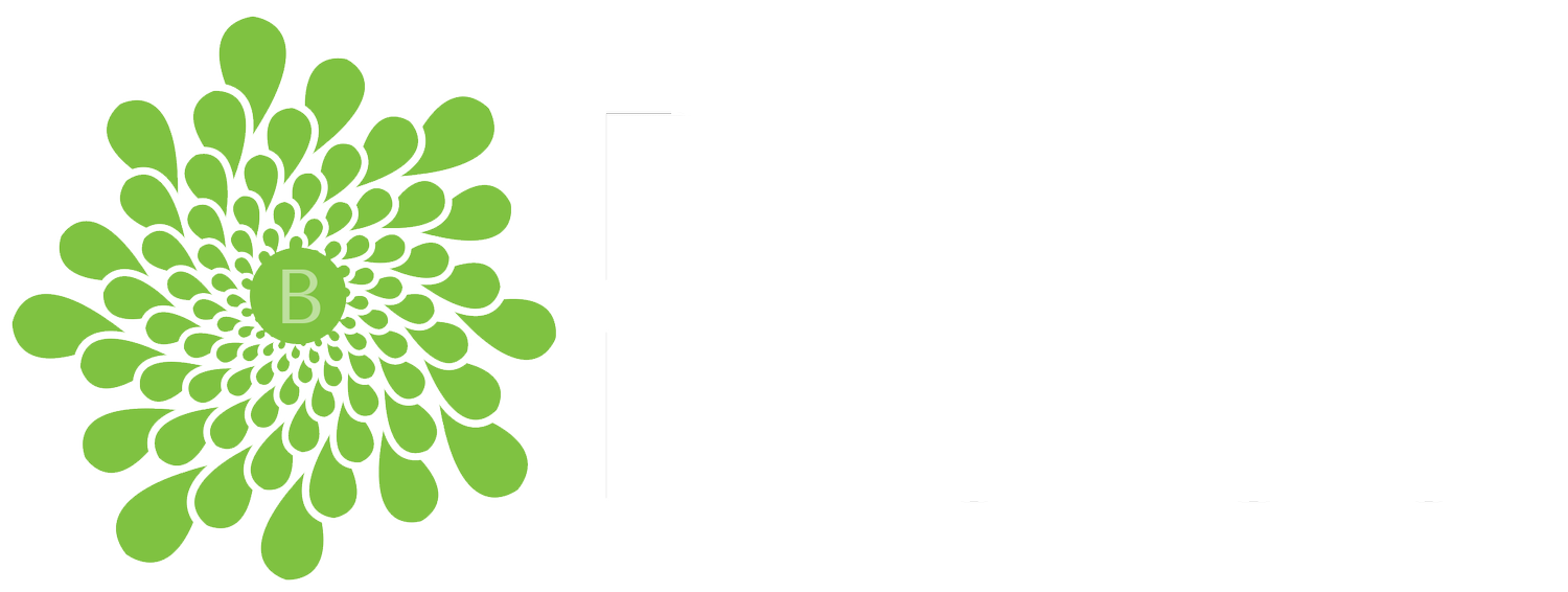 Brava Financial LLC