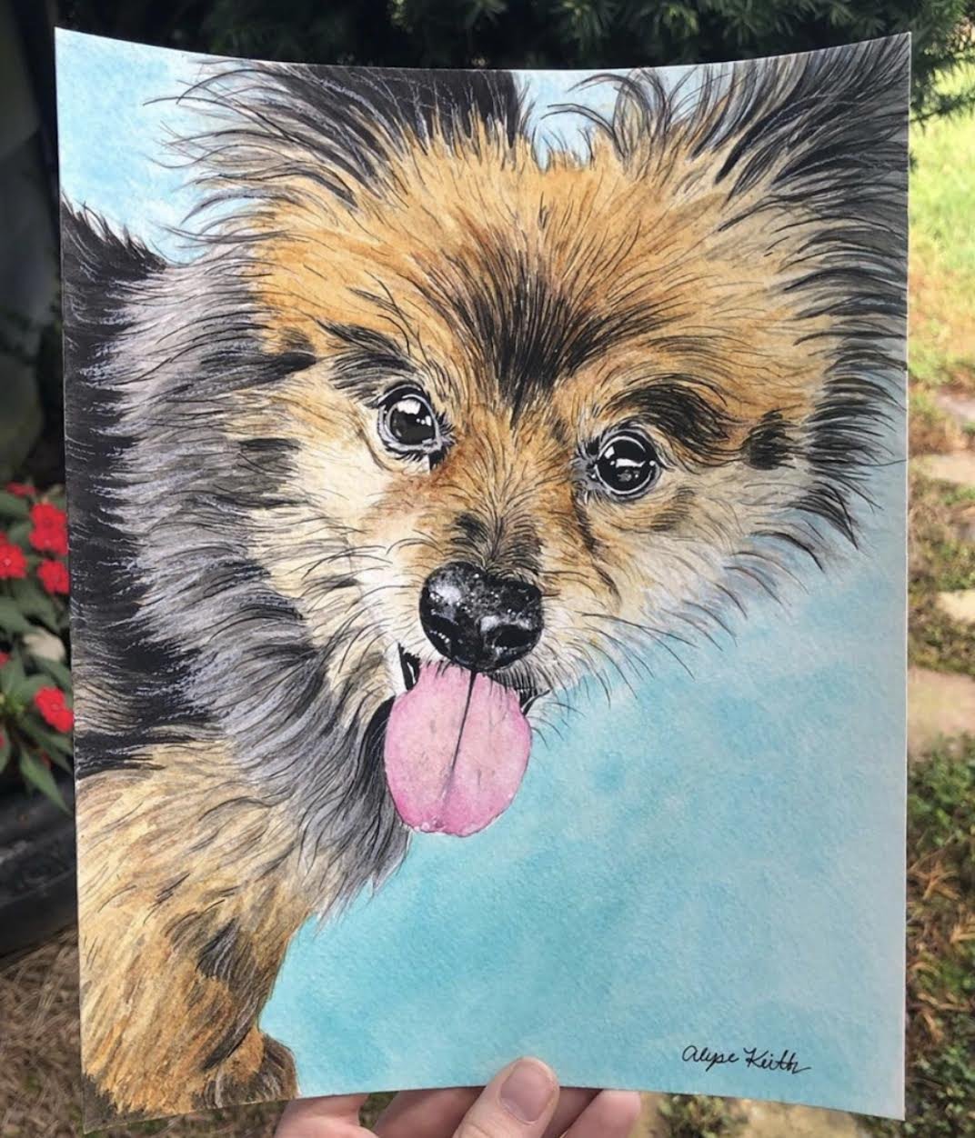AlyseKeithWatercolorPet17.jpeg