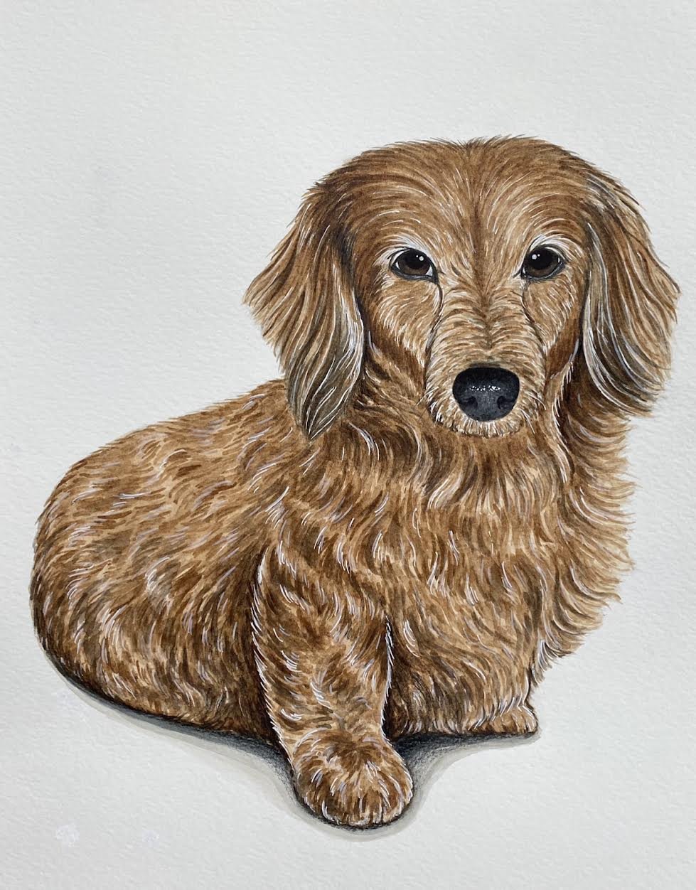 AlyseKeithWatercolorPet36.jpeg