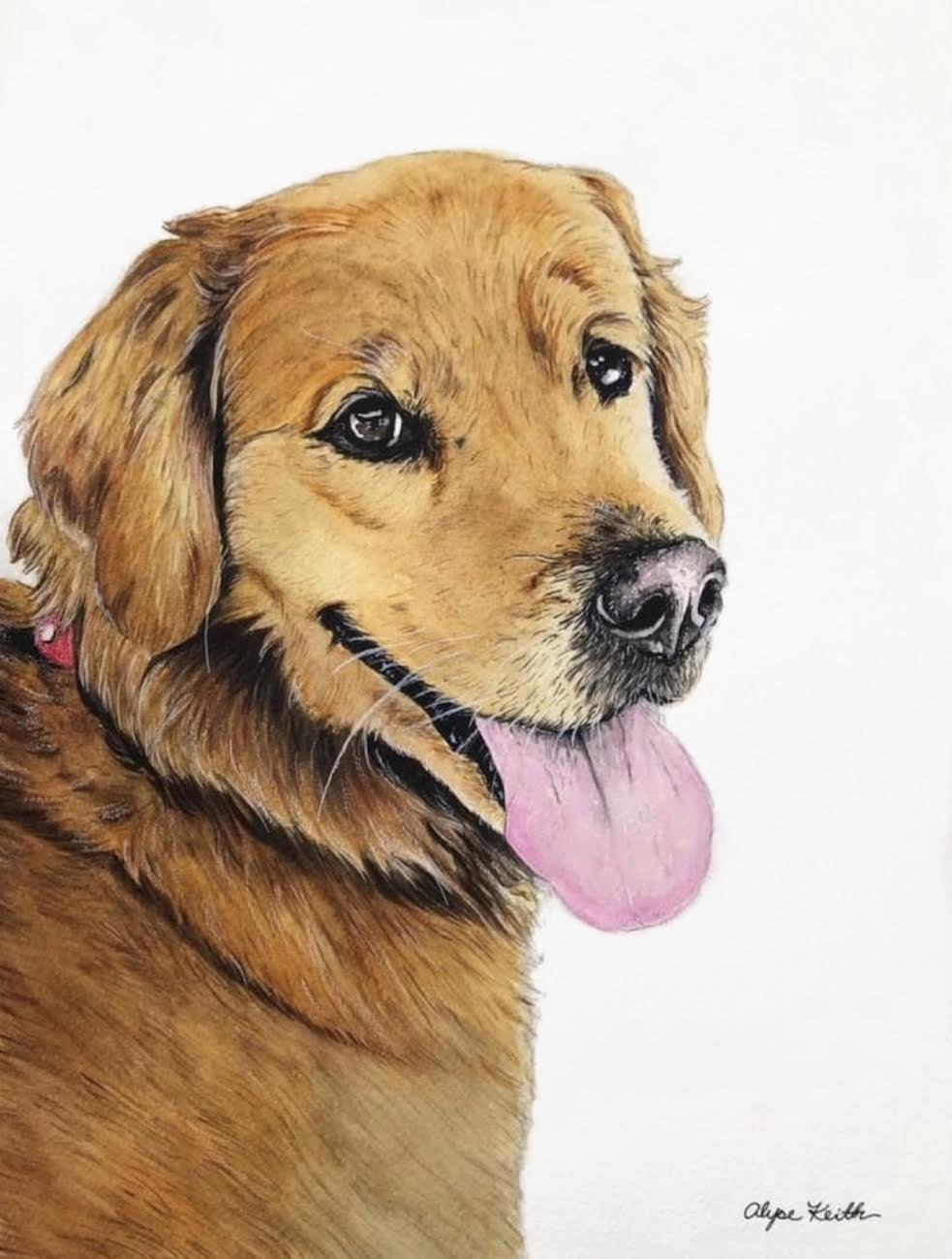 Golden Retriever