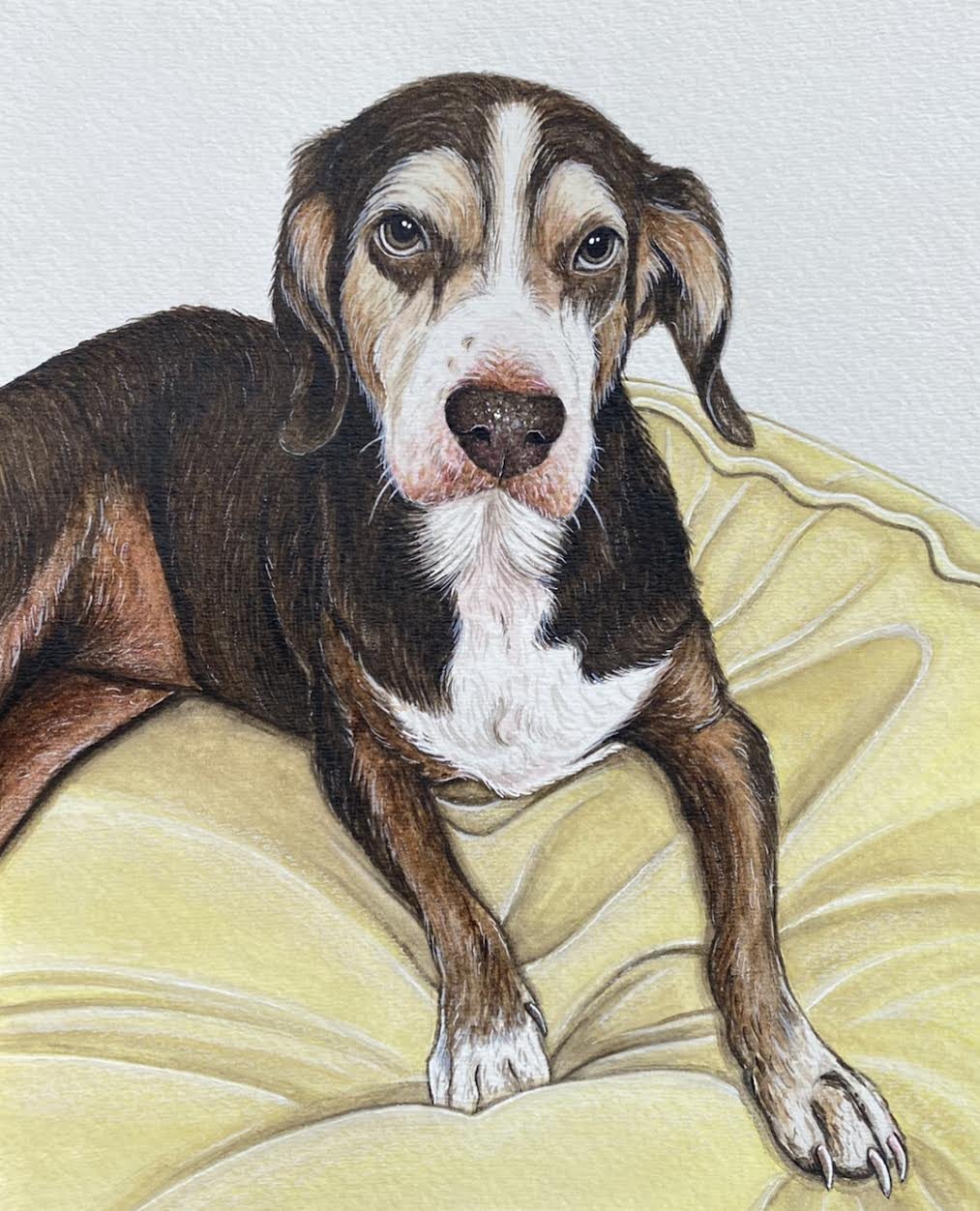 AlyseKeithWatercolorPet38.jpeg