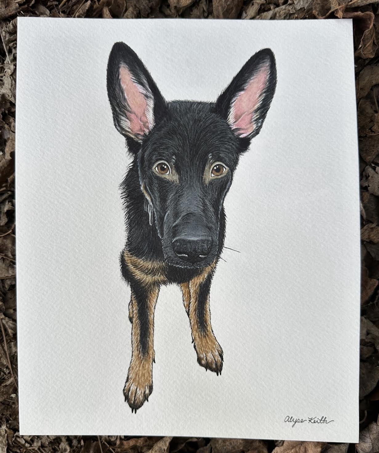 WatercolorPetAlyseKeith39.jpeg