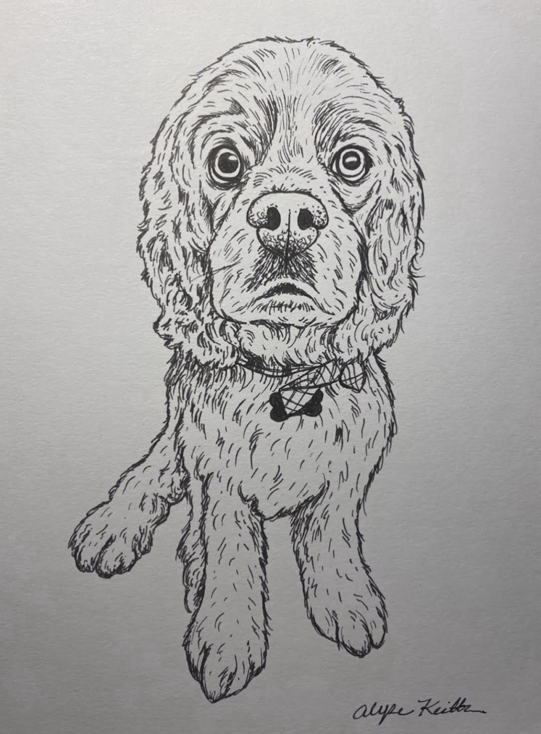 LineDrawingAlyseKeith15.jpeg