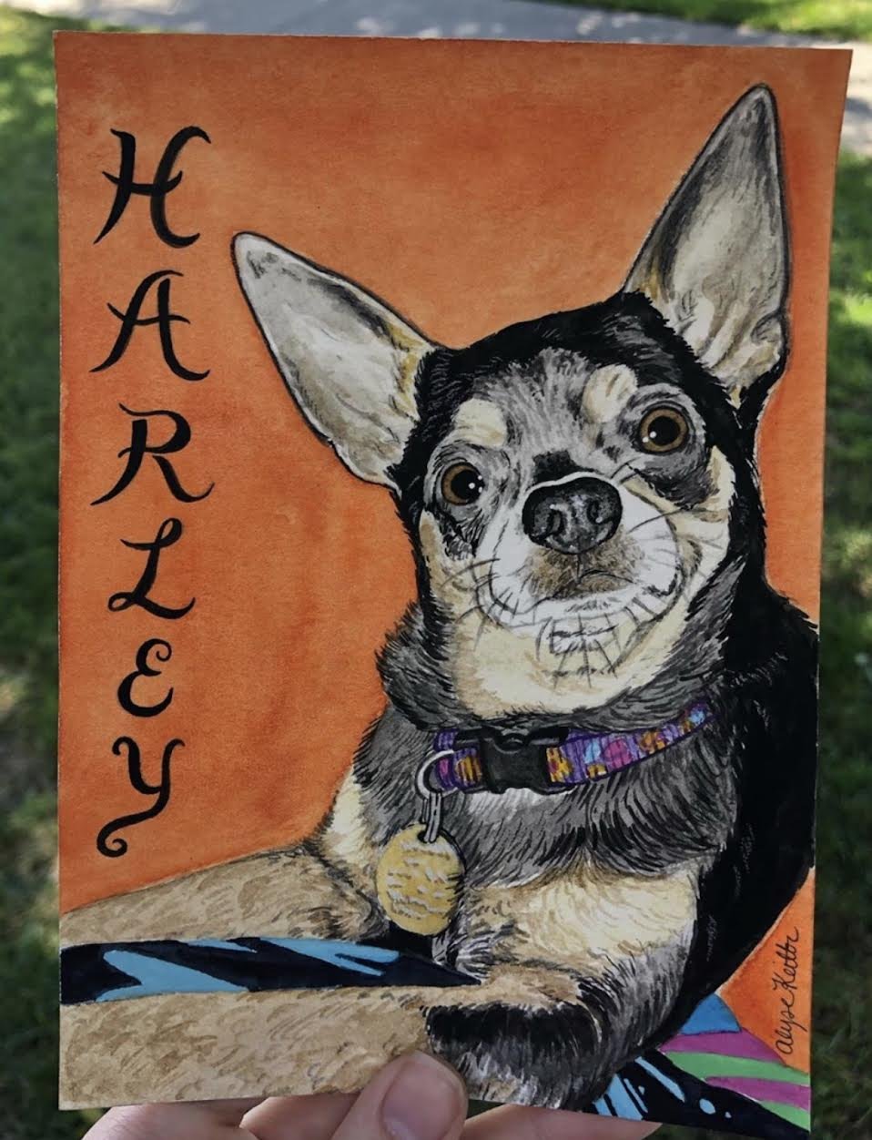 AlyseKeithWatercolorPet18.jpeg
