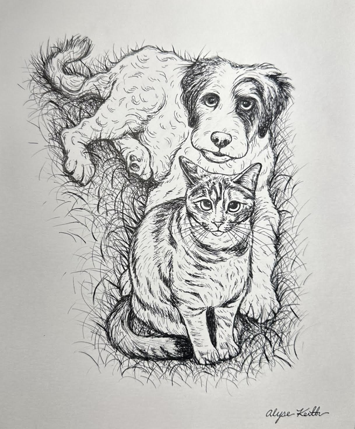 LineDrawingAlyseKeith14.jpeg