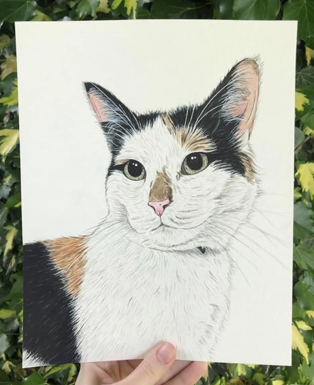 AlyseKeithWatercolorPet8.jpeg