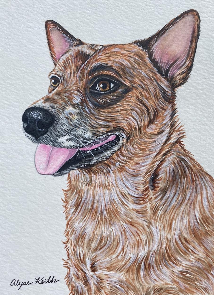 AlyseKeithWatercolorPet31.jpeg