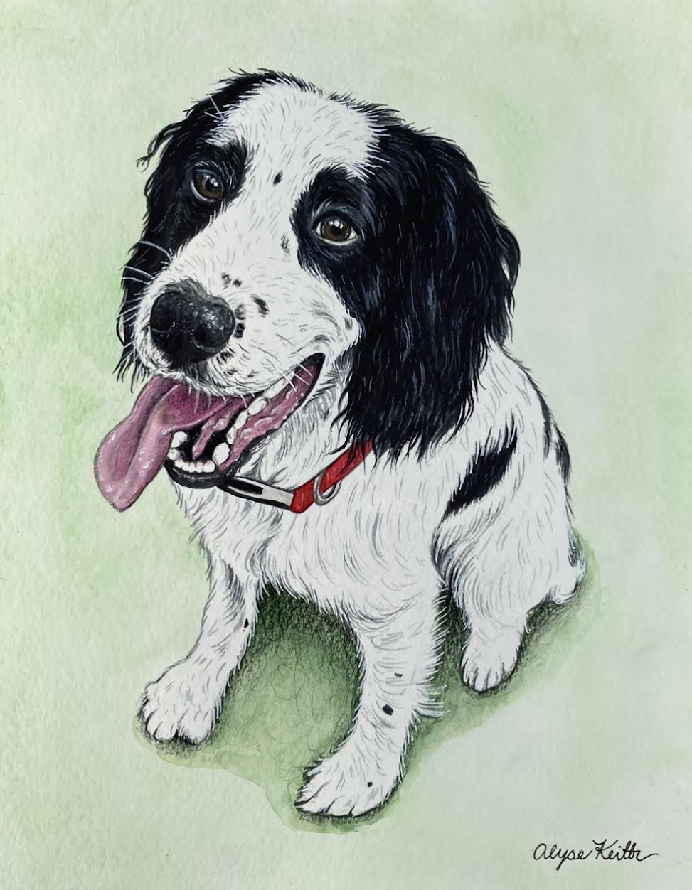 AlyseKeithWatercolorPet27.jpeg