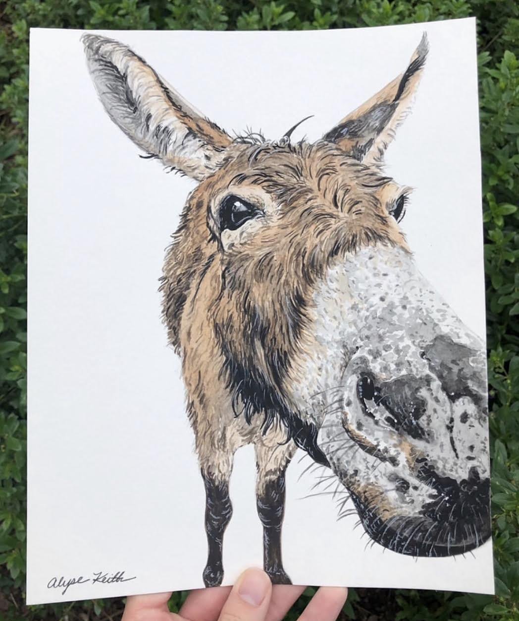 AlyseKeithWatercolorPet1.jpeg