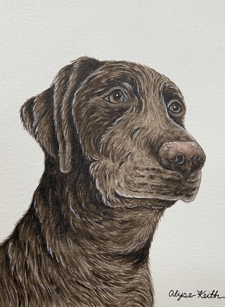 AlyseKeithWatercolorPet37.jpeg