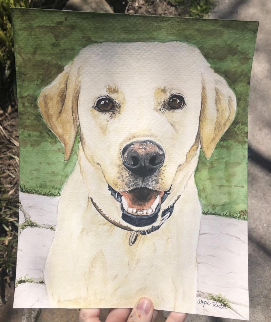 AlyseKeithWatercolorPet13.jpeg