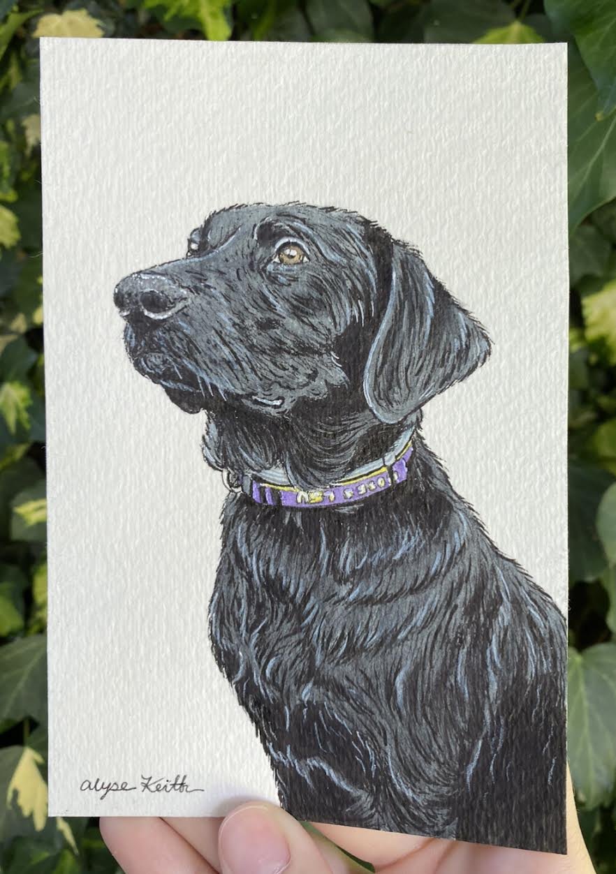 AlyseKeithWatercolorPet24.jpeg