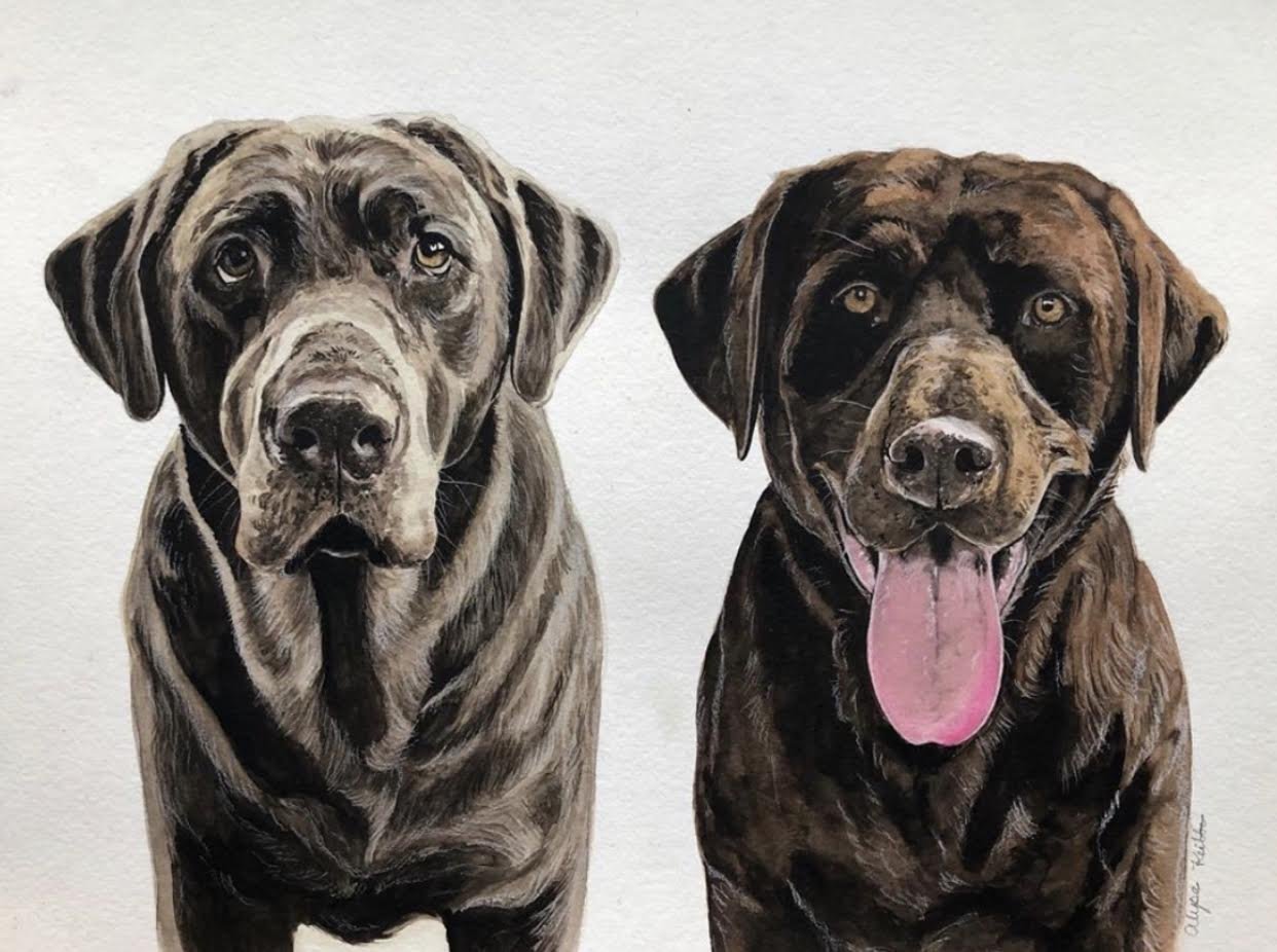 AlyseKeithWatercolorPet19.jpeg