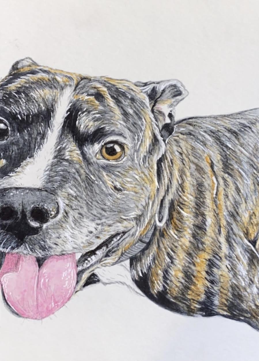 AlyseKeithWatercolorPet23.jpeg