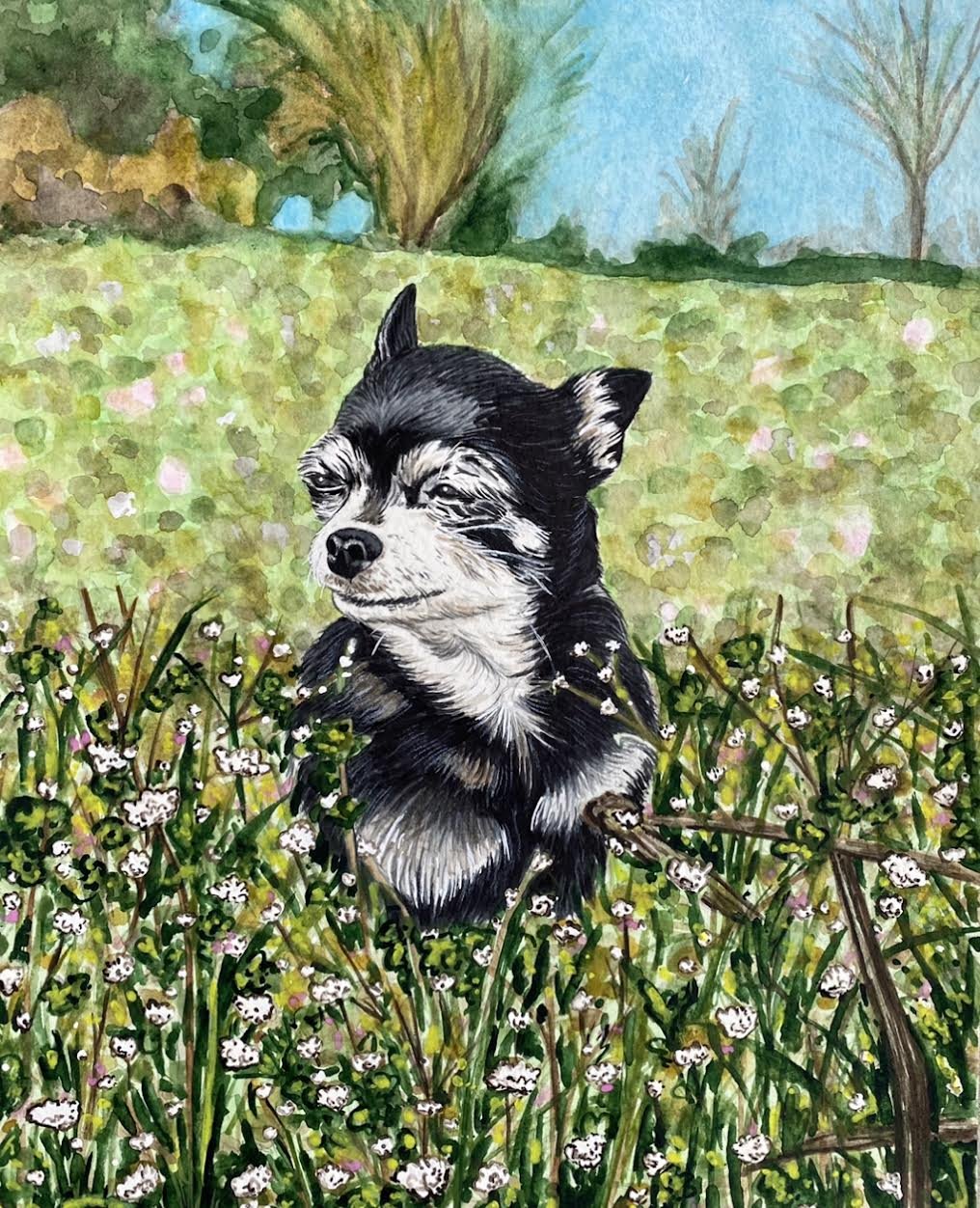 AlyseKeithWatercolorPet28.jpeg
