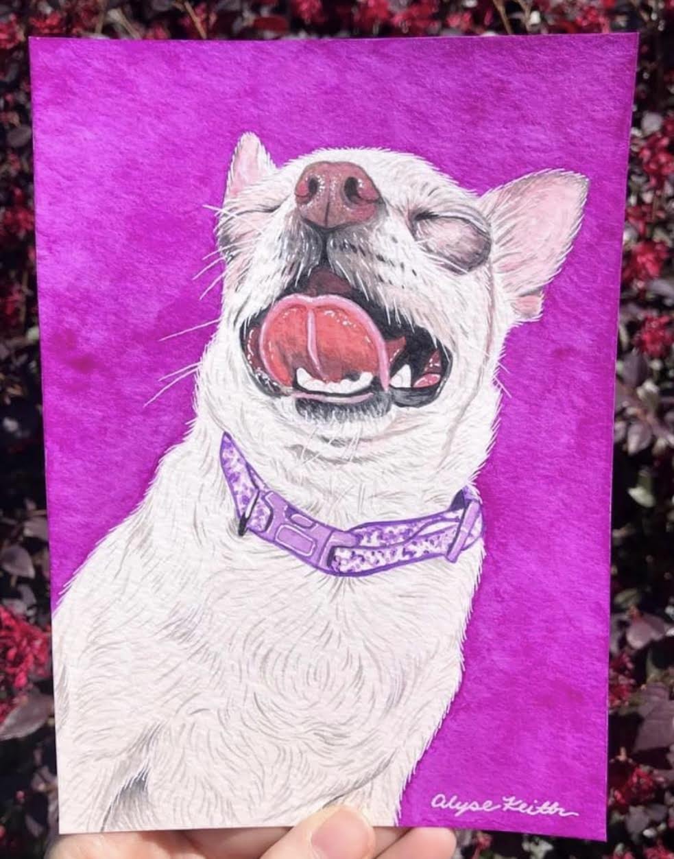 AlyseKeithWatercolorPet32.jpeg