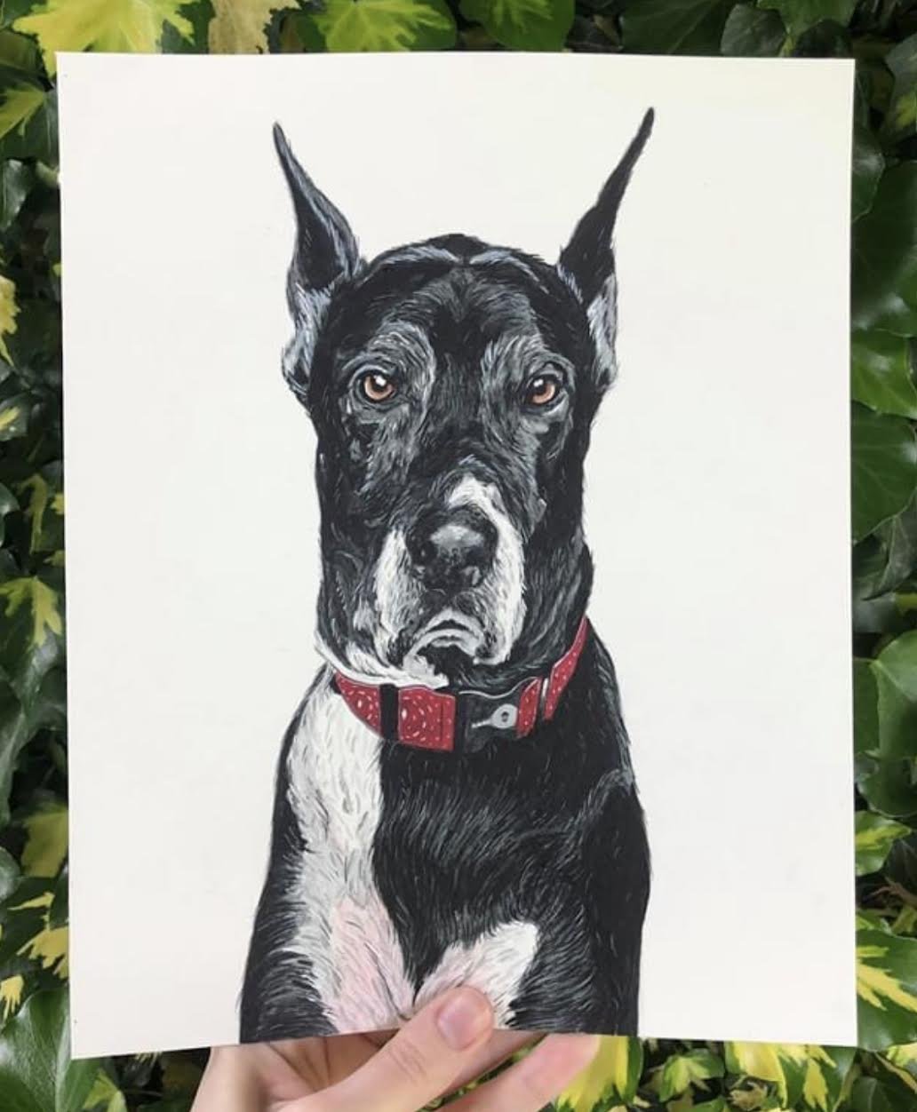 AlyseKeithWatercolorPet7.jpeg