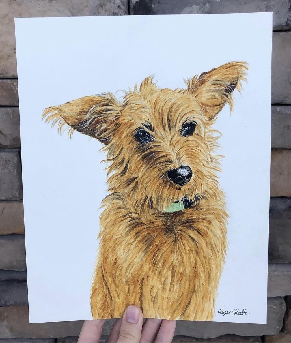 AlyseKeithWatercolorPet29.jpeg