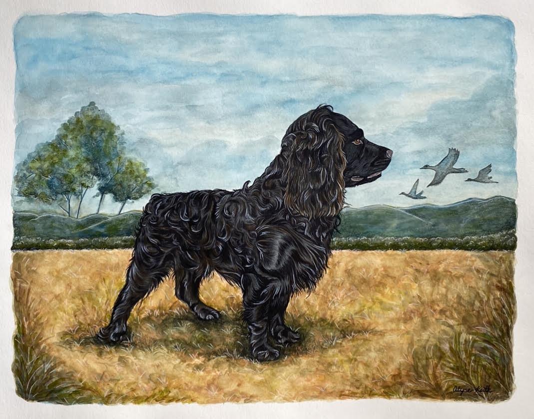 AlyseKeithWatercolorPet22.jpeg