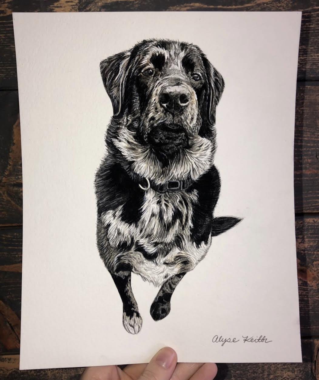 AlyseKeithWatercolorPet11.jpeg