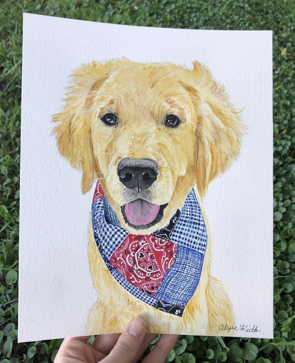 AlyseKeithWatercolorPet34.jpeg