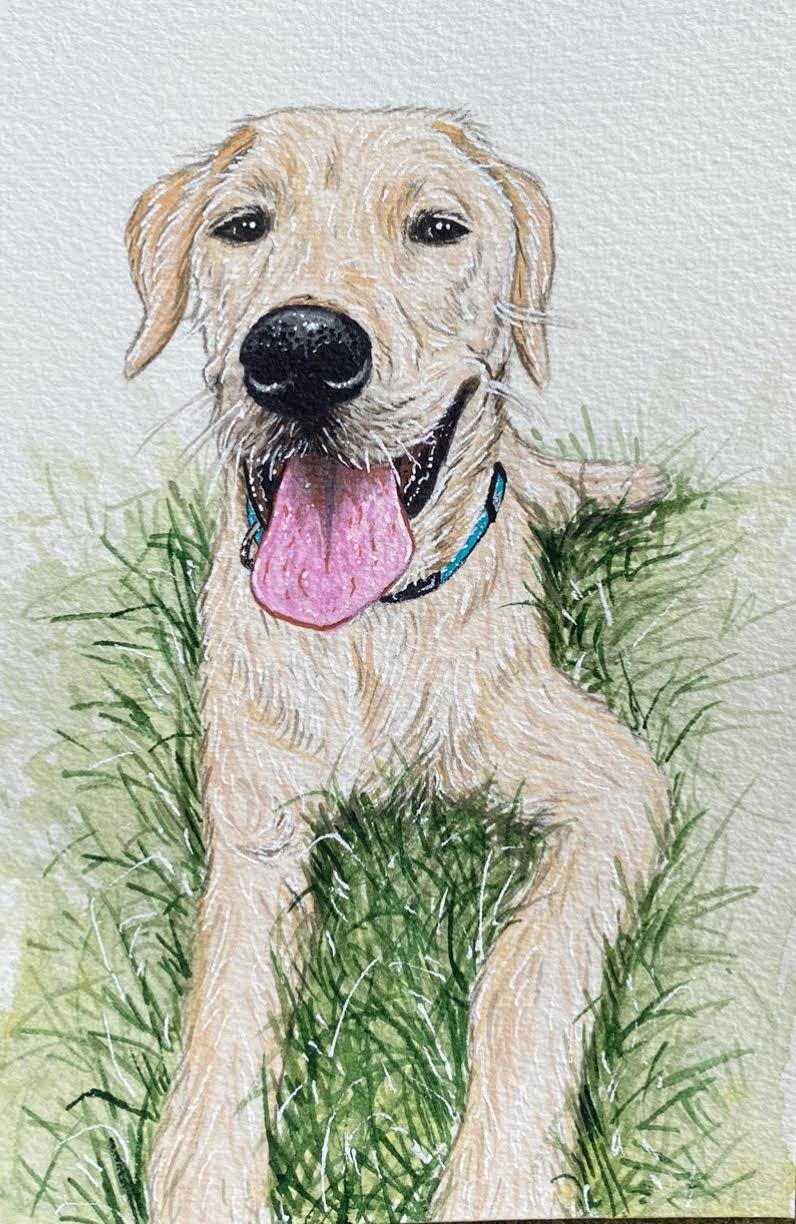 AlyseKeithWatercolorPet5.jpeg