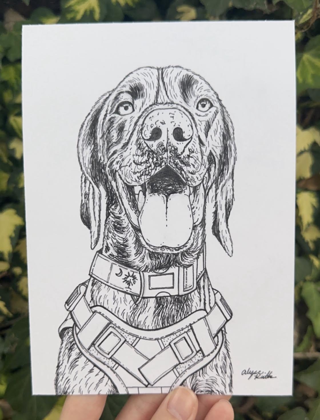 LineDrawingAlyseKeith10.jpeg