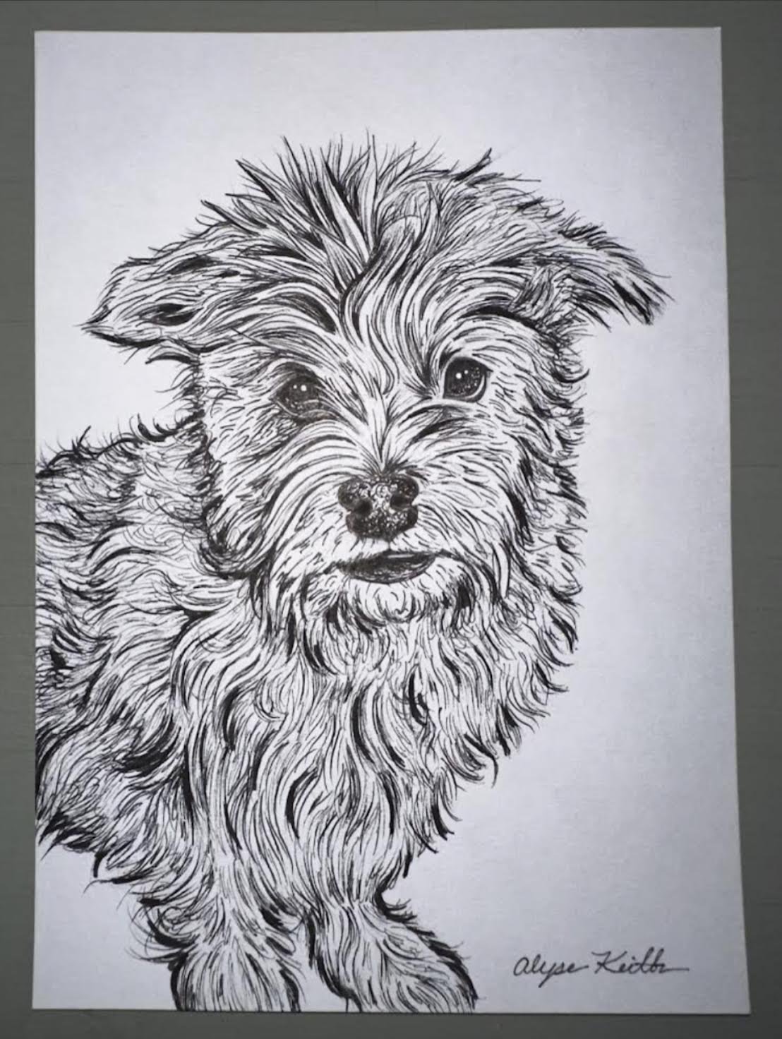 LineDrawingAlyseKeith11.jpeg
