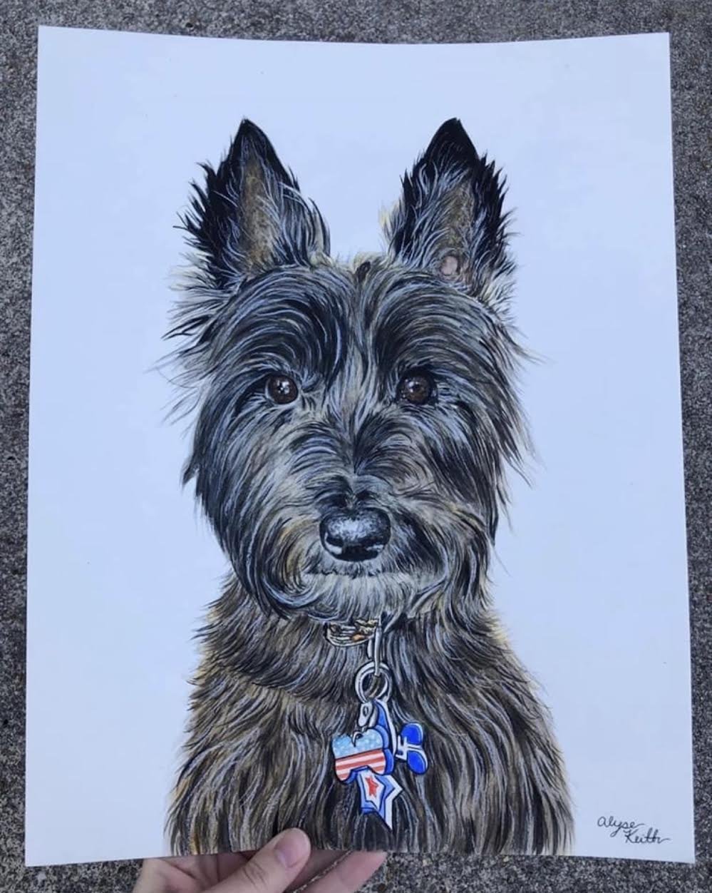 AlyseKeithWatercolorPet9.jpeg