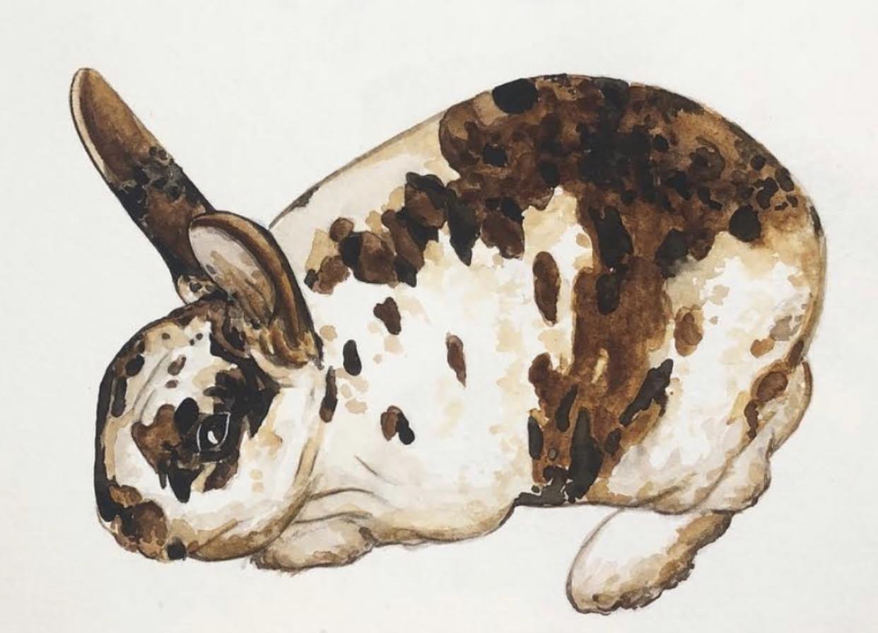 AlyseKeithWatercolorPet12.jpeg