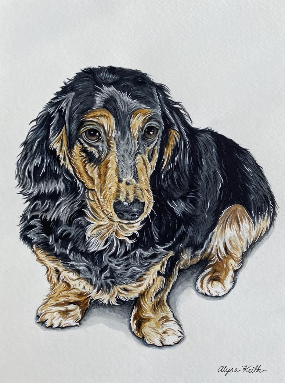 AlyseKeithWatercolorPet25.jpeg