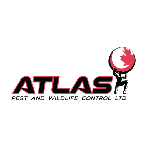 Atlas10.png