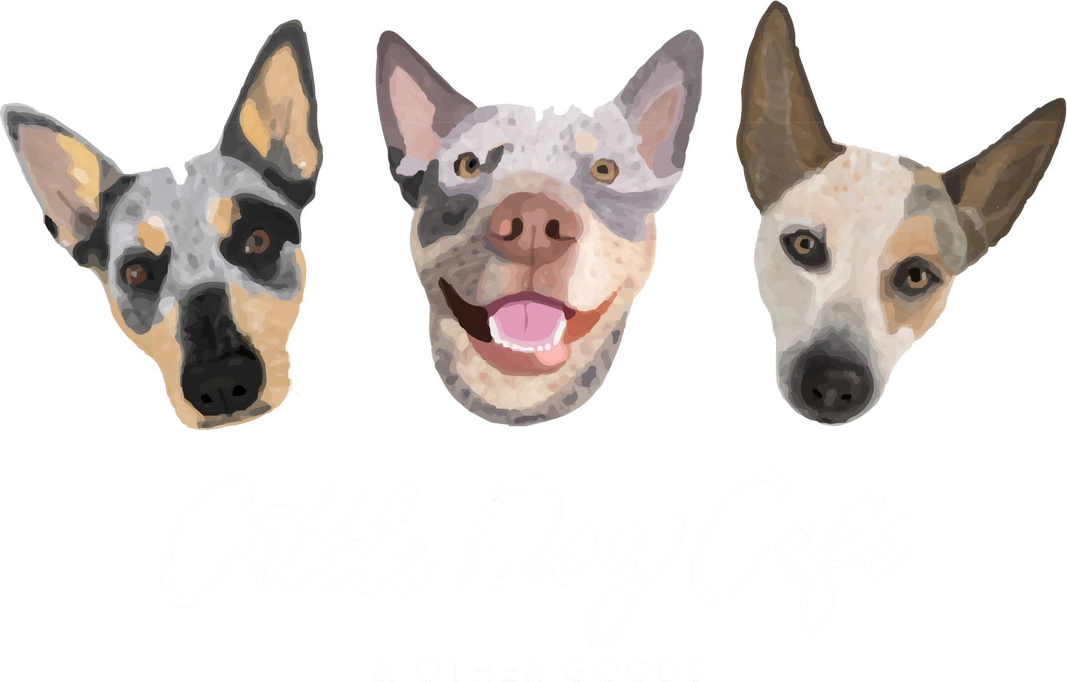 Cattle Dog Coffee Co