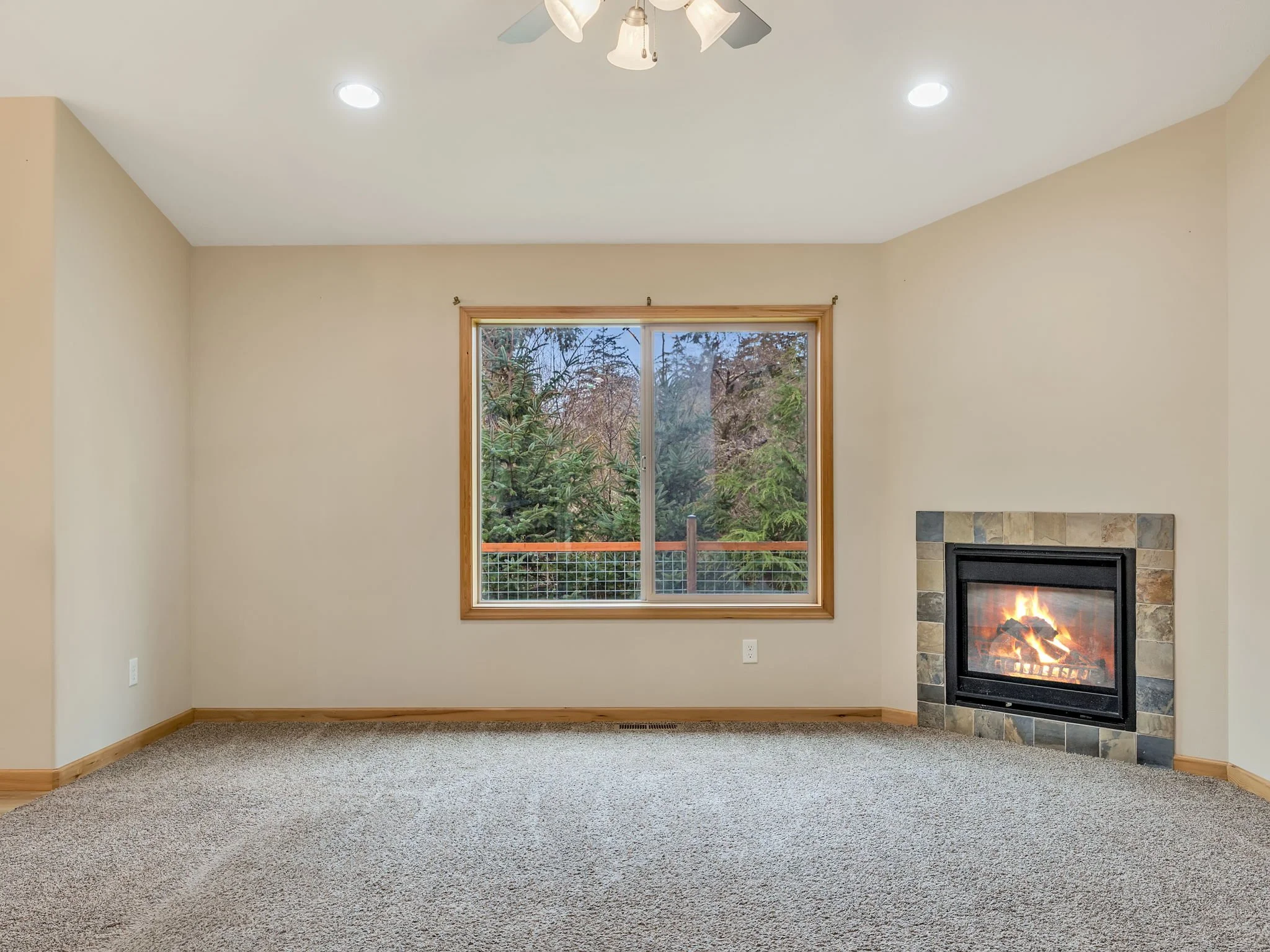 21-web-or-mls-1730 Pacific Ridge Ln-21.jpg