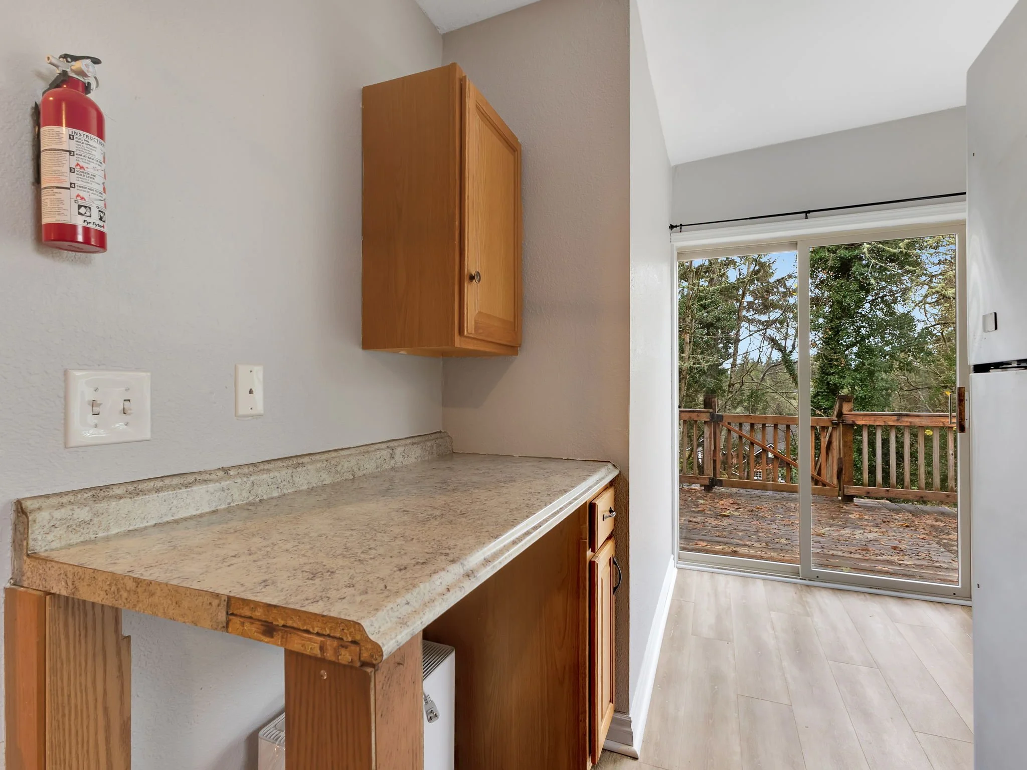 21-web-or-mls-Hummingbird #3-08.jpg
